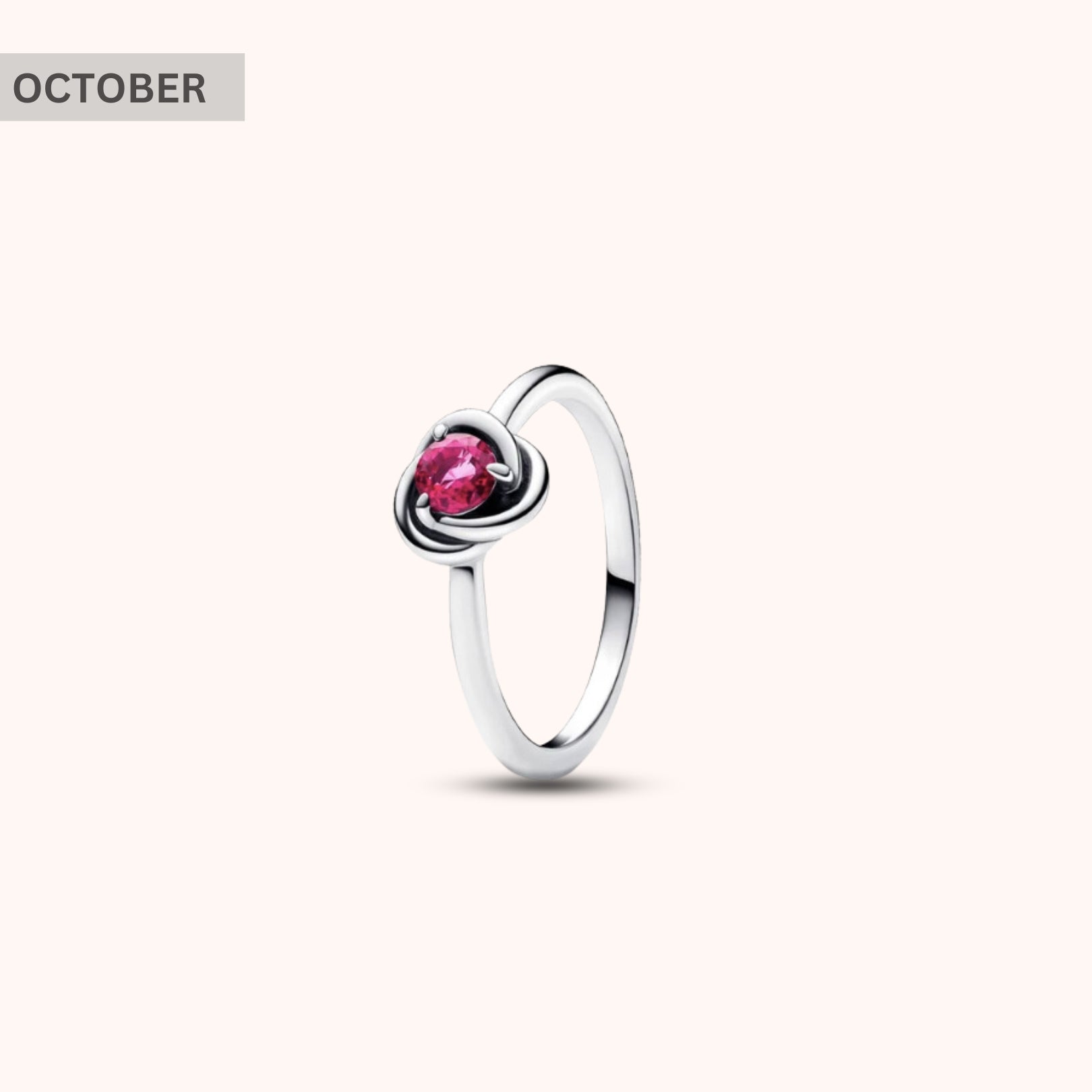 Birthstone Eternity Circle Ring - Hidden Forever