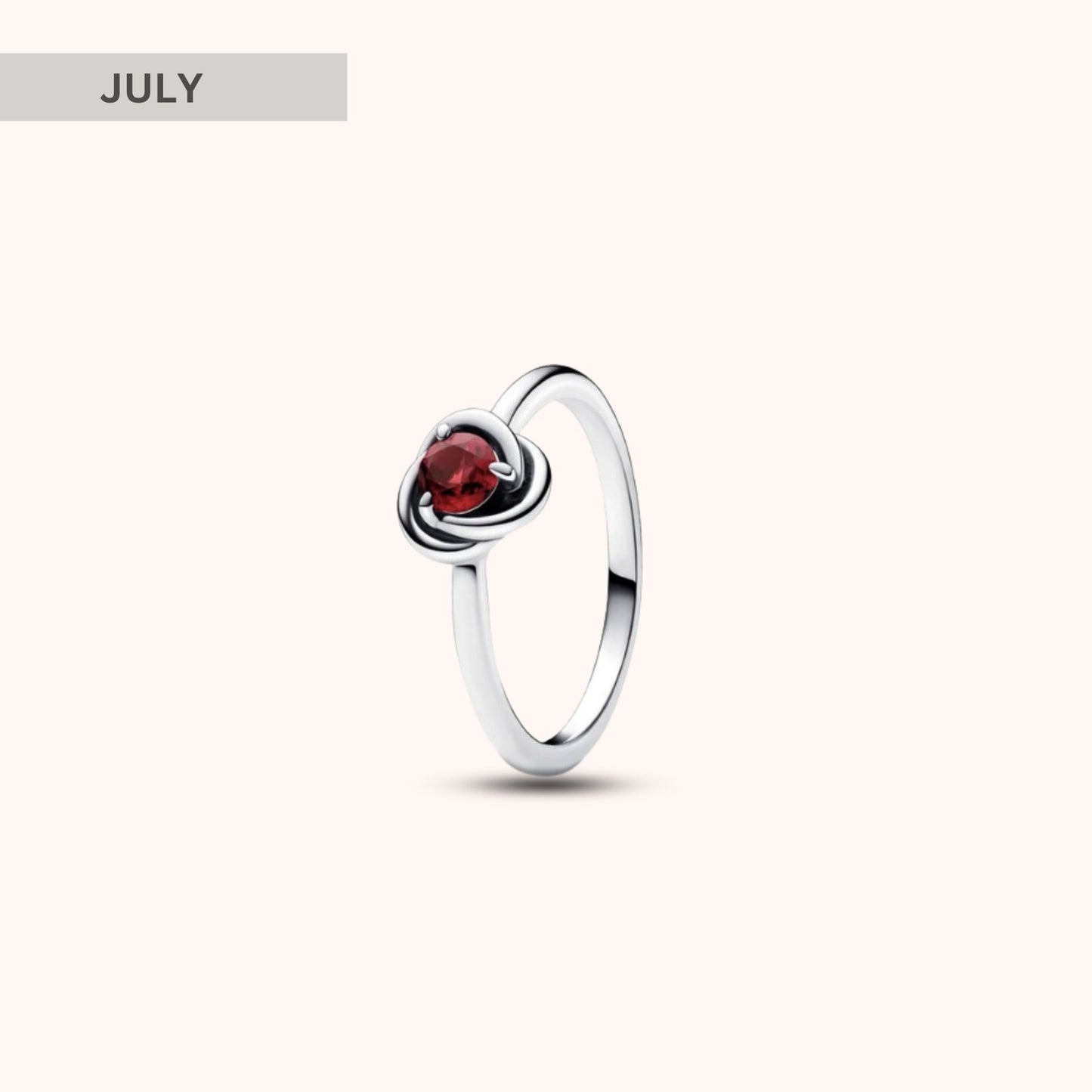 Birthstone Eternity Circle Ring - Hidden Forever
