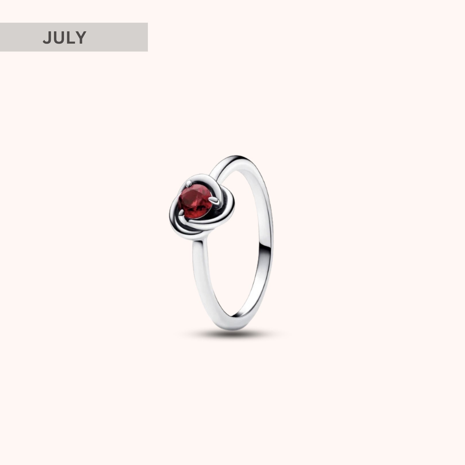 Birthstone Eternity Circle Ring - Hidden Forever