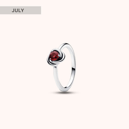 Birthstone Eternity Circle Ring - Hidden Forever