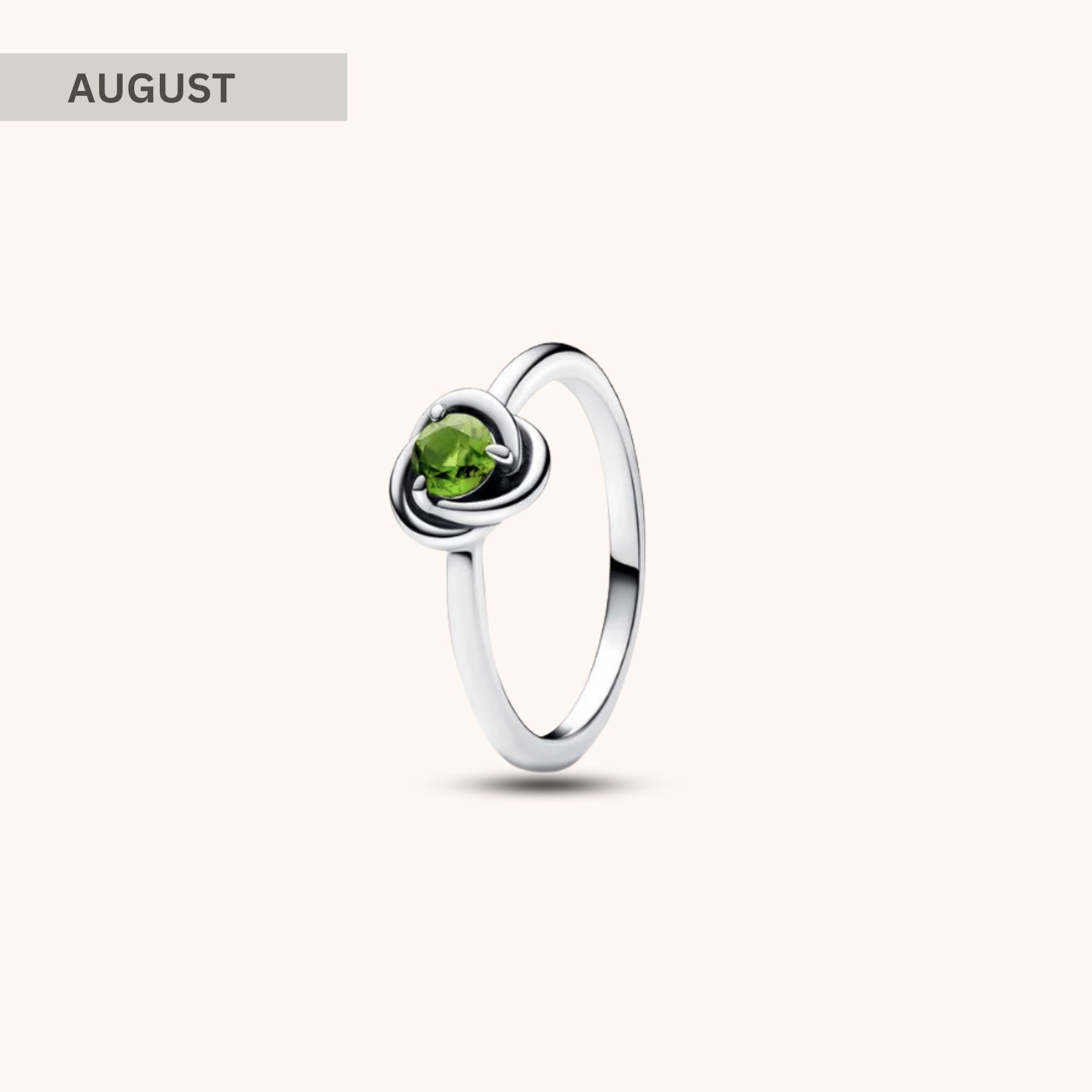 Birthstone Eternity Circle Ring - Hidden Forever