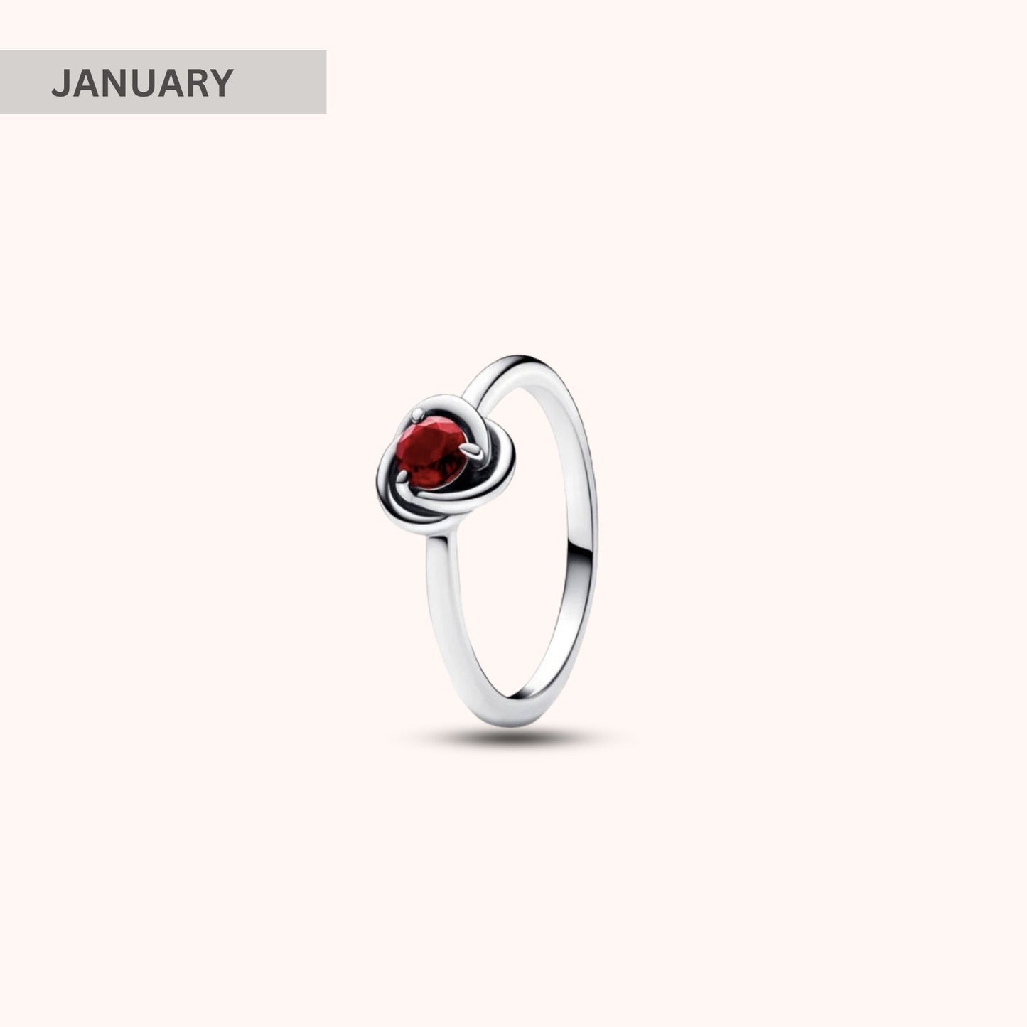 Birthstone Eternity Circle Ring - Hidden Forever