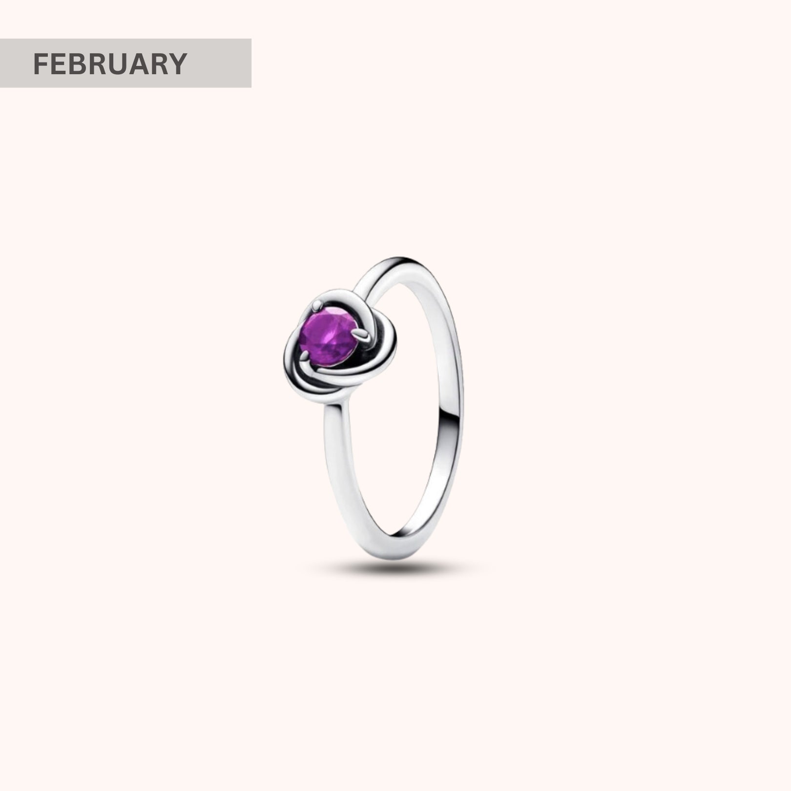 Birthstone Eternity Circle Ring - Hidden Forever